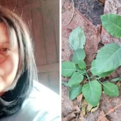 Planta venenosa mata mulher em MInhas Gerais