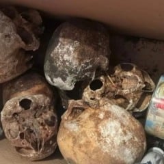 Polícia encontra 22 crânios humanos em apartamento de luxo em São Paulo