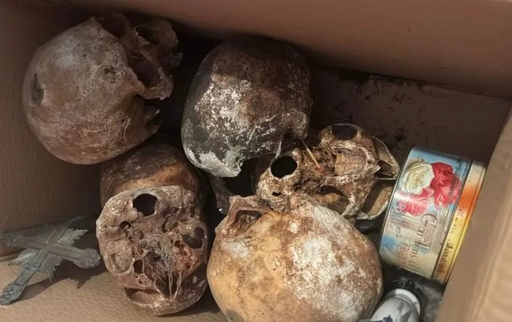 Polícia encontra 22 crânios humanos em apartamento de luxo em São Paulo
