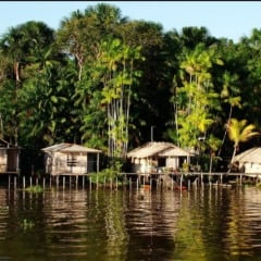 De autoria do senador, o PL reconhece oficialmente o papel essencial dessas comunidades na preservação da Amazônia a na formação cultural do país. Foto: Divulgação