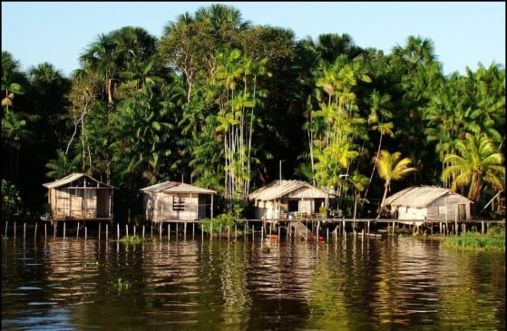 De autoria do senador, o PL reconhece oficialmente o papel essencial dessas comunidades na preservação da Amazônia a na formação cultural do país. Foto: Divulgação