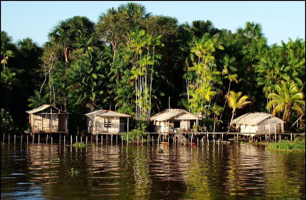 De autoria do senador, o PL reconhece oficialmente o papel essencial dessas comunidades na preservação da Amazônia a na formação cultural do país. Foto: Divulgação
