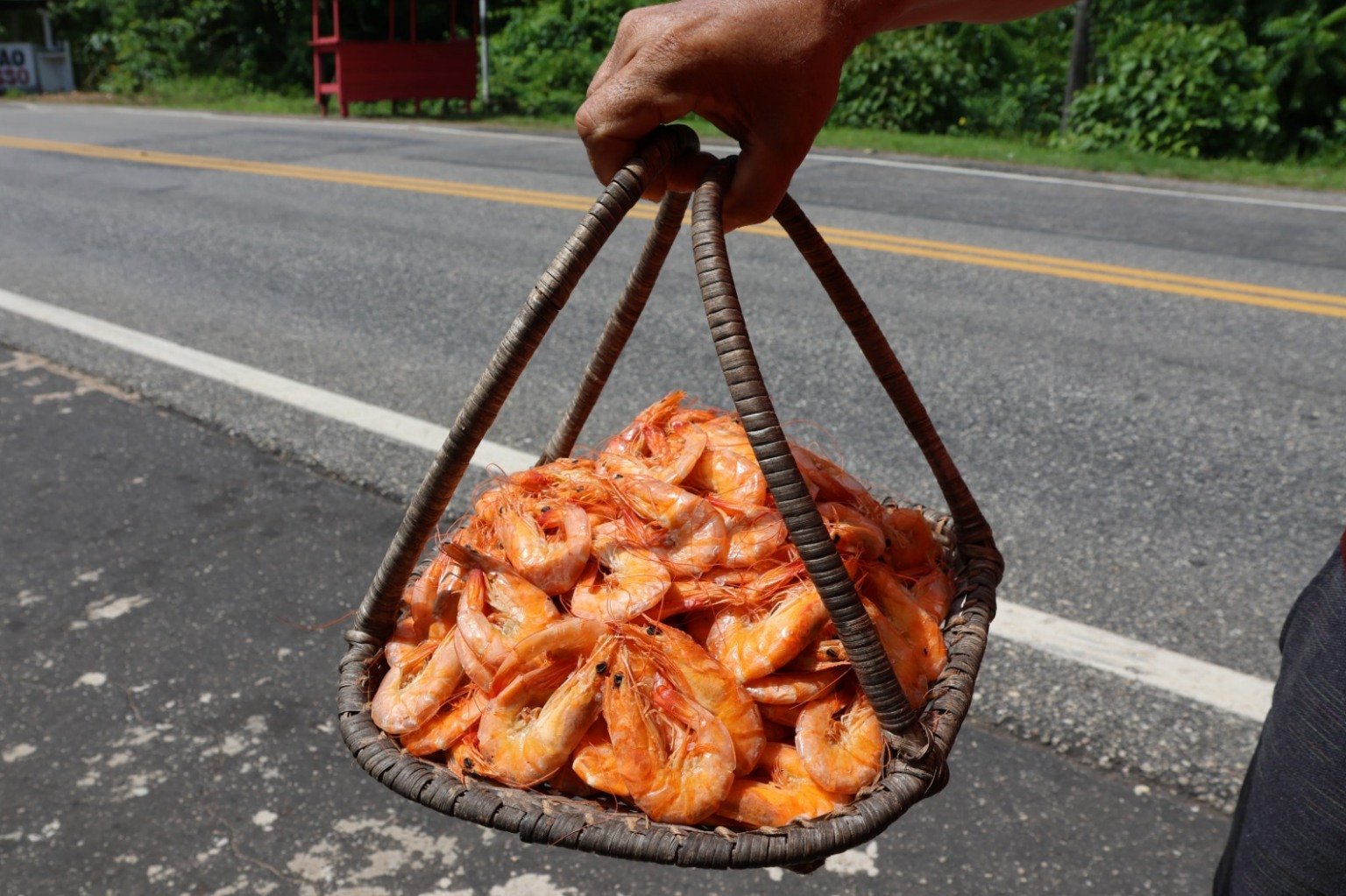 Acomodados em peneiros e em diferentes tamanhos, os camarões rosados dão as boas-vindas, ainda na estrada, aos visitantes que chegam a Mosqueiro. Fotos: Irene Almeida