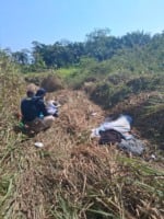Carreta da aparelhagem Príncipe Negro se envolve em acidente e ajudante morre na BR-010