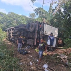 Caminhão carregado de banana tomba na BR-316
