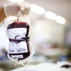 Descubra como a mudança de tipo sanguíneo em órgãos pode revolucionar transplantes, aumentando a compatibilidade e salvando vidas.