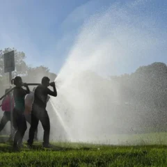 Abertas as incrições ipara a formação de brigadas civis voluntárias com o objetivo de prevenir e combater incêndios florestais.