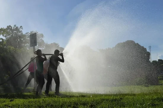 Abertas as incrições ipara a formação de brigadas civis voluntárias com o objetivo de prevenir e combater incêndios florestais.