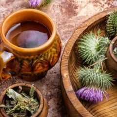 Descubra como o chá de cardo-mariano pode ajudar a limpar o fígado e controlar a gordura hepática de forma natural e eficaz.