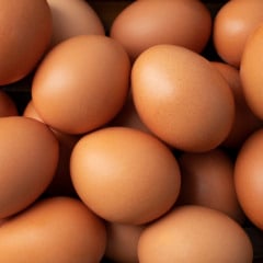 Confira receitas ricas em proteína. Foto: Freepik.