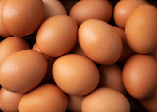 Confira receitas ricas em proteína. Foto: Freepik.