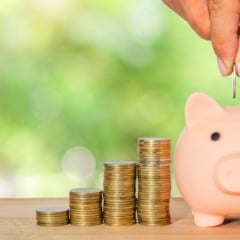 money saving for business investment finance and banking concept. people hands putting coin to piggy bank and row of coin stack on wood table and green blur nature background.