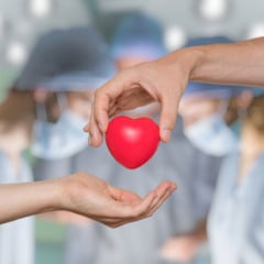 No Brasil, a doação de órgãos pode ocorrer de duas formas principais — por doador vivo ou por doador falecido. Entenda!