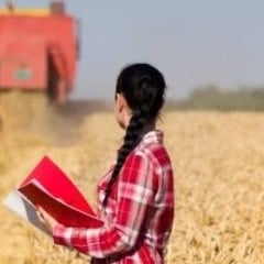 Produtoras rurais impulsionam inovação e sustentabilidade no agronegócio