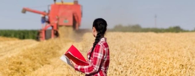 Produtoras rurais impulsionam inovação e sustentabilidade no agronegócio