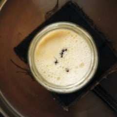No restaurante, o produto virou estrela de sobremesas experimentais, como o “ant-wich”, um sorvete entre biscoitos em formato de inseto.