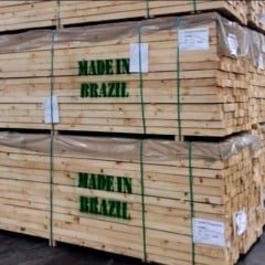 Madeira exportada do Pará tem alta de 98%