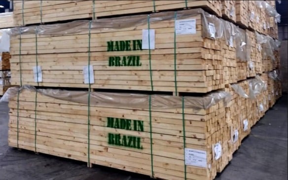 Madeira exportada do Pará tem alta de 98%