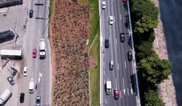 Microfloresta Heineken em São Paulo. Foto: divulgação Fresta Filmes.