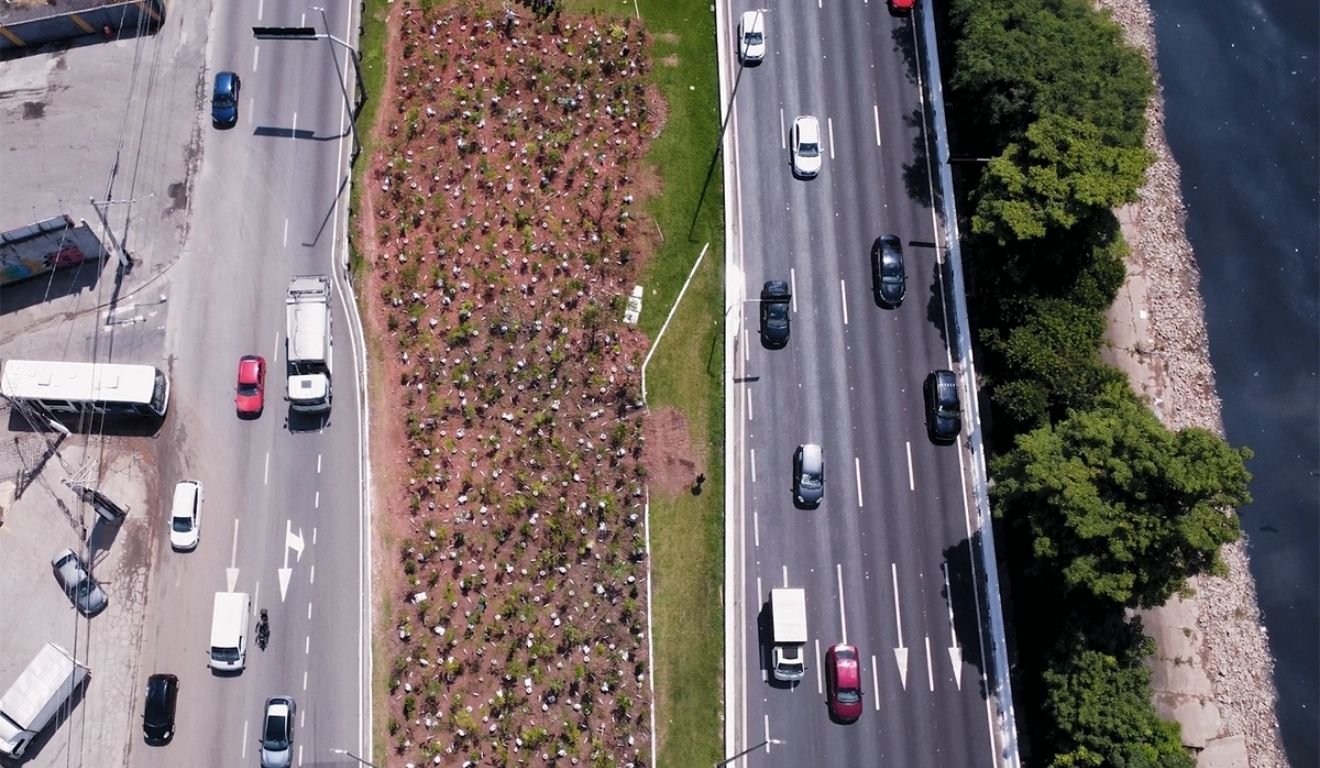 Microfloresta Heineken em São Paulo. Foto: divulgação Fresta Filmes.