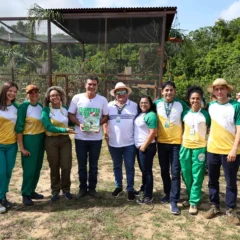 Soltura de 15 ararajubas em parque de Belém abre capítulo simbólico na COP30