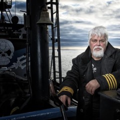 Paul Watson. Foto: Divulgação