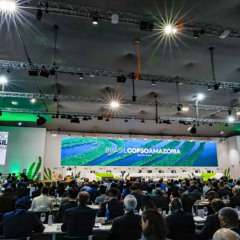 
Foto: Ricardo Stuckert / PR