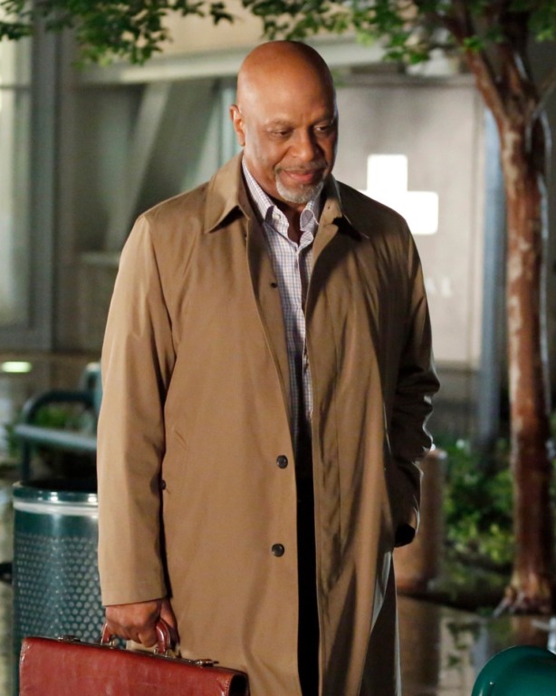 O ator James Pickens Jr., conhecido por seu papel icônico como o Dr. Richard Webber na série Grey’s Anatomy, compartilhou uma notícia preocupante com seus fãs