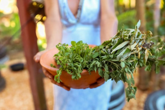 Lançamento Circuito Cuidado & Clima. Foto: Divulgação