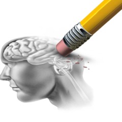 Imagem: Divulgação