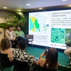 PA destaca poder climático das árvores gigantes e áreas protegidas