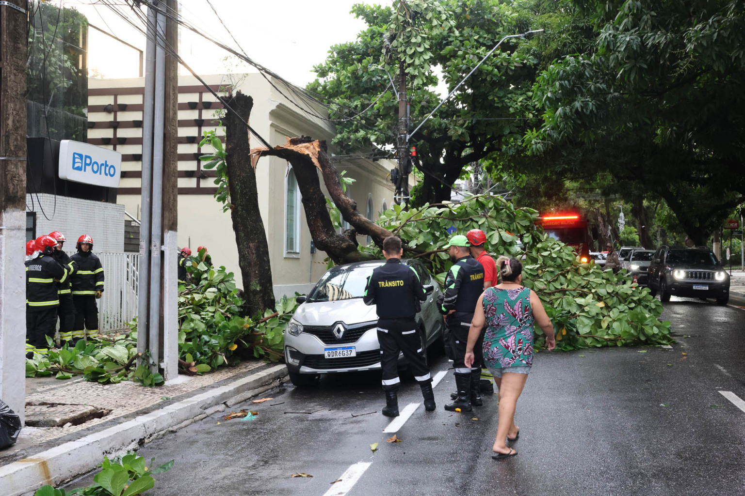 Árvore cai sobre veículos e trânsito para em Belém; fotos mostram a dimensão do caos Foto: Octavio Cardoso/ Diário do Pará Árvore cai sobre veículos e trânsito para em Belém; fotos mostram a dimensão do caos Foto: Octavio Cardoso/ Diário do Pará