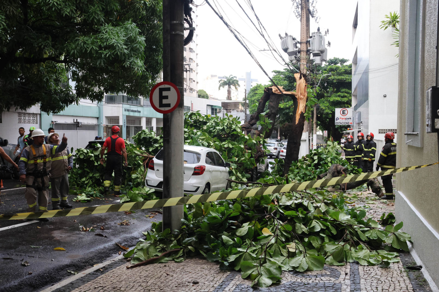 Árvore cai sobre veículos e trânsito para em Belém; fotos mostram a dimensão do caos Foto: Octavio Cardoso/ Diário do Pará Árvore cai sobre veículos e trânsito para em Belém; fotos mostram a dimensão do caos Foto: Octavio Cardoso/ Diário do Pará