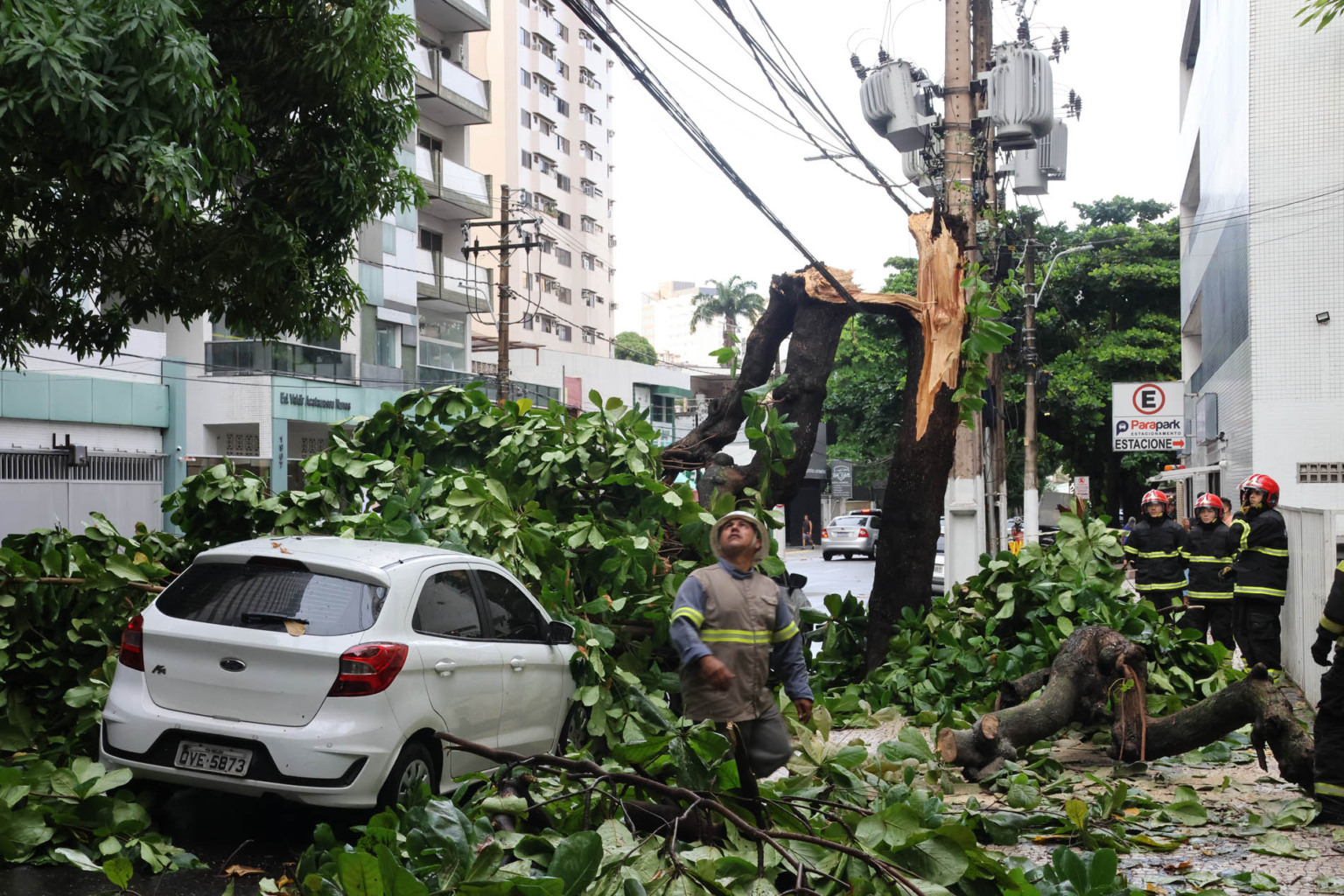 Árvore cai sobre veículos e trânsito para em Belém; fotos mostram a dimensão do caos Foto: Octavio Cardoso/ Diário do Pará Árvore cai sobre veículos e trânsito para em Belém; fotos mostram a dimensão do caos Foto: Octavio Cardoso/ Diário do Pará