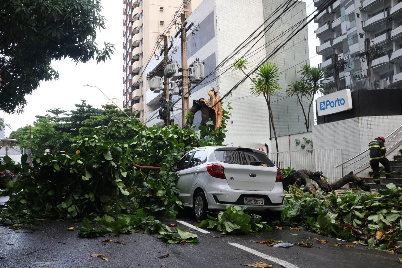 Árvore cai sobre veículos e trânsito para em Belém; fotos mostram a dimensão do caos Árvore cai sobre veículos e trânsito para em Belém; fotos mostram a dimensão do caos