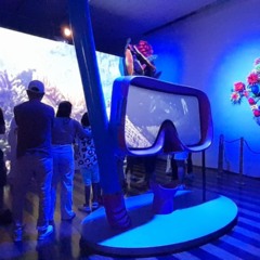 Quer programa cultural na COP30? Exposição gratuita nas Onze Janelas é destaque