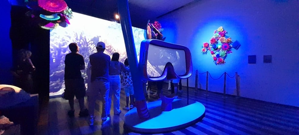 Quer programa cultural na COP30? Exposição gratuita nas Onze Janelas é destaque