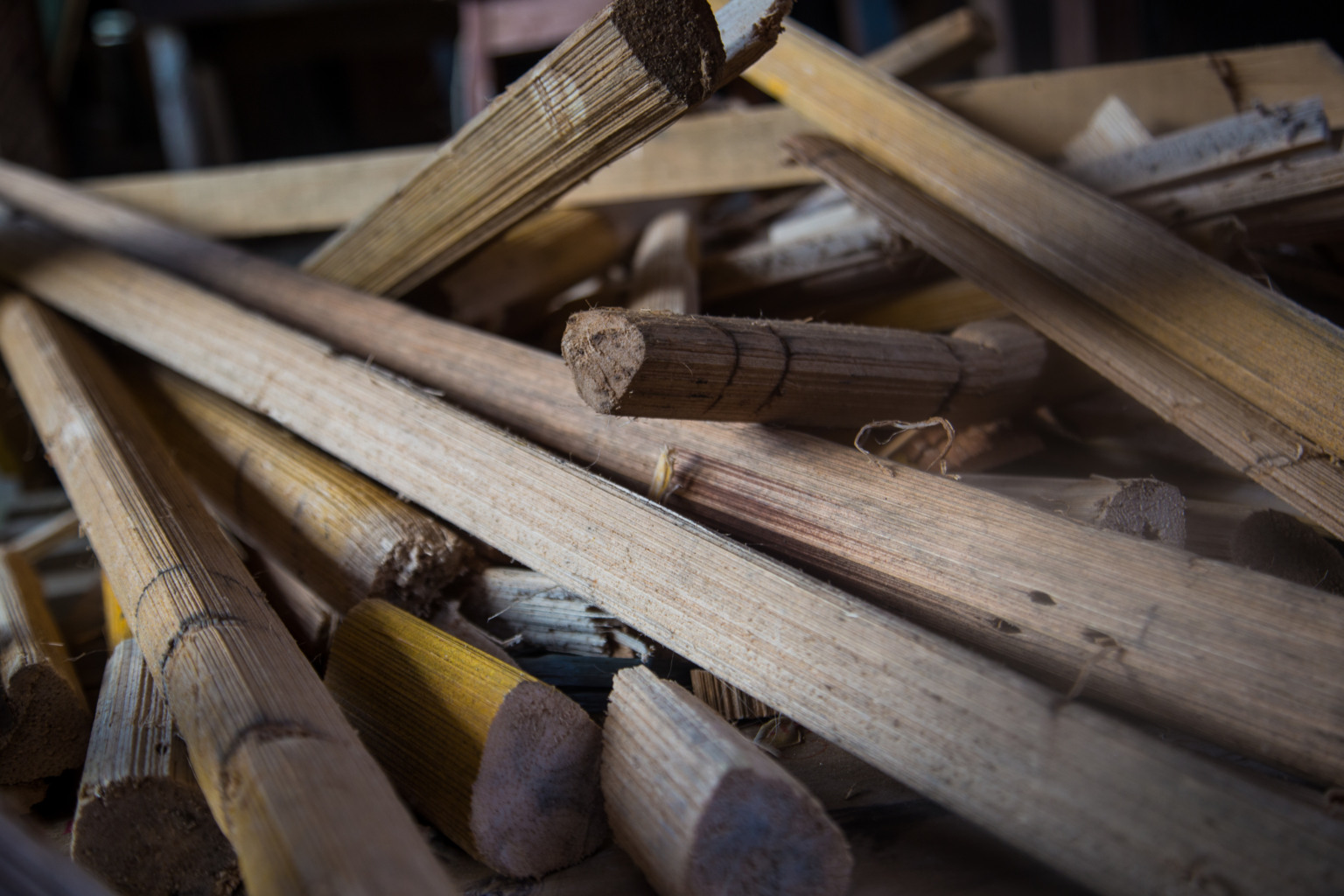 Serpente de 30 metros e 80 jaguares vão denunciar crise climática Serpente de 30 metros e 80 jaguares vão denunciar crise climática