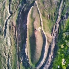 Foto: Reprodução/Noah's Ark Scans