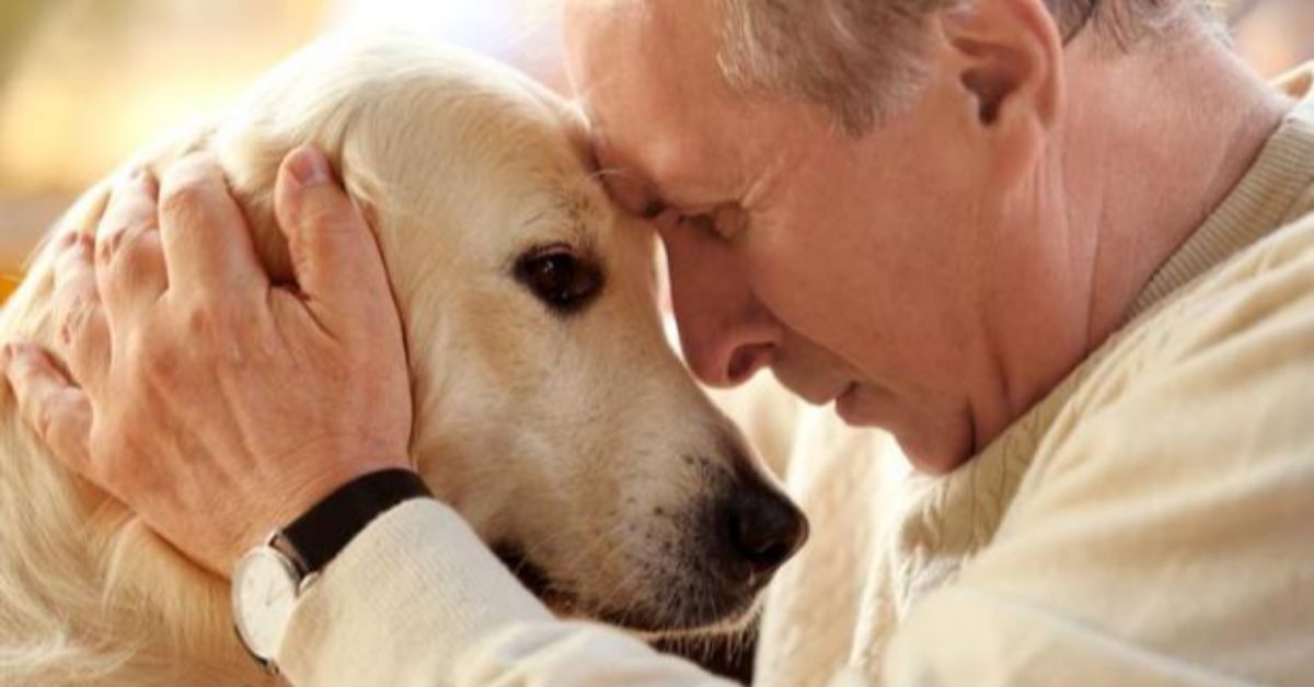 Foto: Reprodução Foto: Reprodução