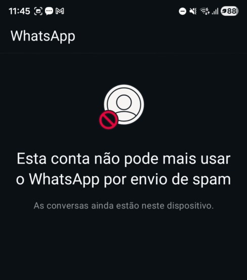 Whatsapp bugou. Foto: Reprodução / X @rubinhodev