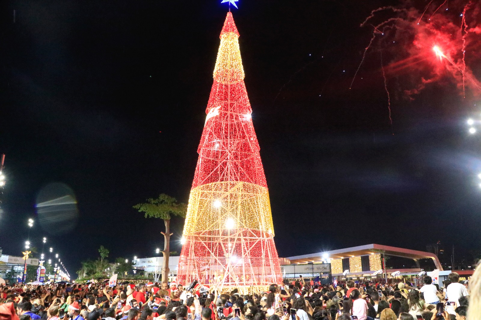 Luzes, música e muita magia: governo lança Natal Encantado e reabre Parque da Cidade com novas atrações
