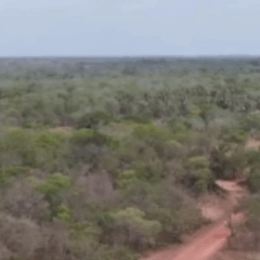 Luz estranha persegue moradores e assusta cidade do Piauí. Foto: Reprodução
