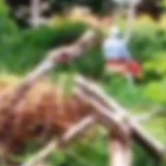 Vídeo que circula nas redes sociais mostra casal de idosos mantendo relação sexual em área pública de Várzea Grande, em Mato Grosso. Foto: divulgação