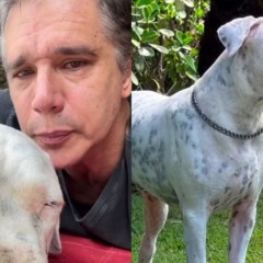 Garcia relata últimos momentos ao lado do animal e desabafa. Foto: reprodução