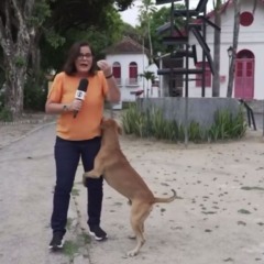 Participação inusitada antecedeu indicações de filme brasileiro. Foto: Reprodução/Globo