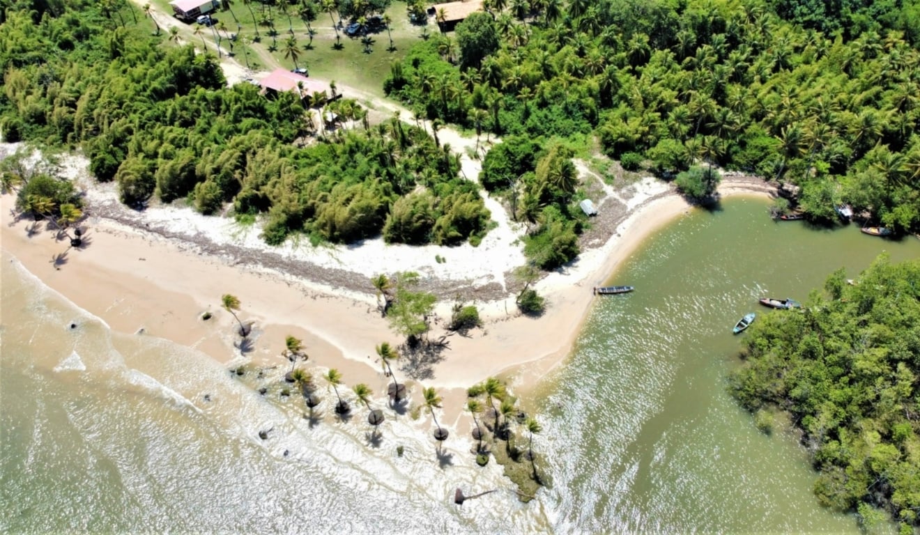 Vista aérea da Reserva Extrativista Marinha de Soure, no arquipélago do Marajó. Em primeiro plano, uma extensa faixa de areia clara acompanha a curva da praia, enquanto um canal de água serpenteia entre a vegetação até encontrar o mar. Ao fundo, uma densa área de manguezais e floresta se estende até o horizonte, sob céu azul com poucas nuvens. A paisagem evidencia a integração entre praia, rios e vegetação típica da região amazônica.