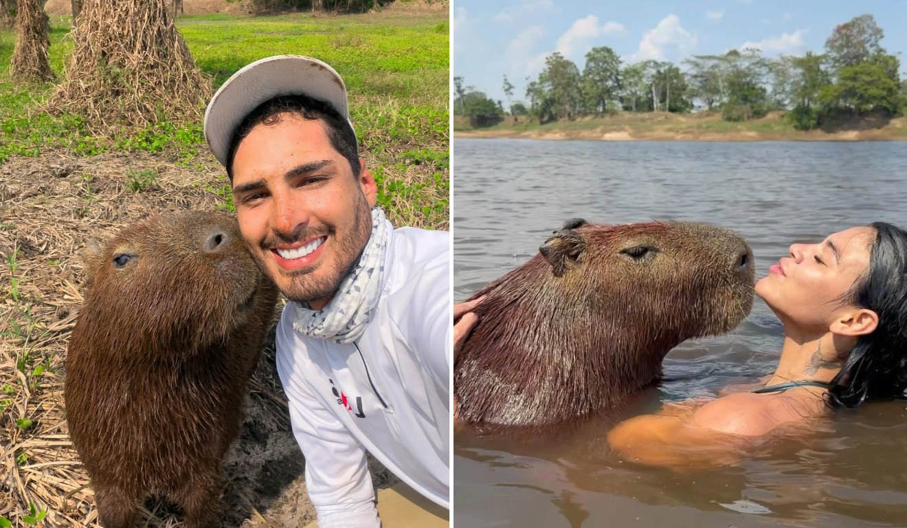 Justiça manda devolver capivara Filó ao Ibama após vídeos de Lia Mendonça