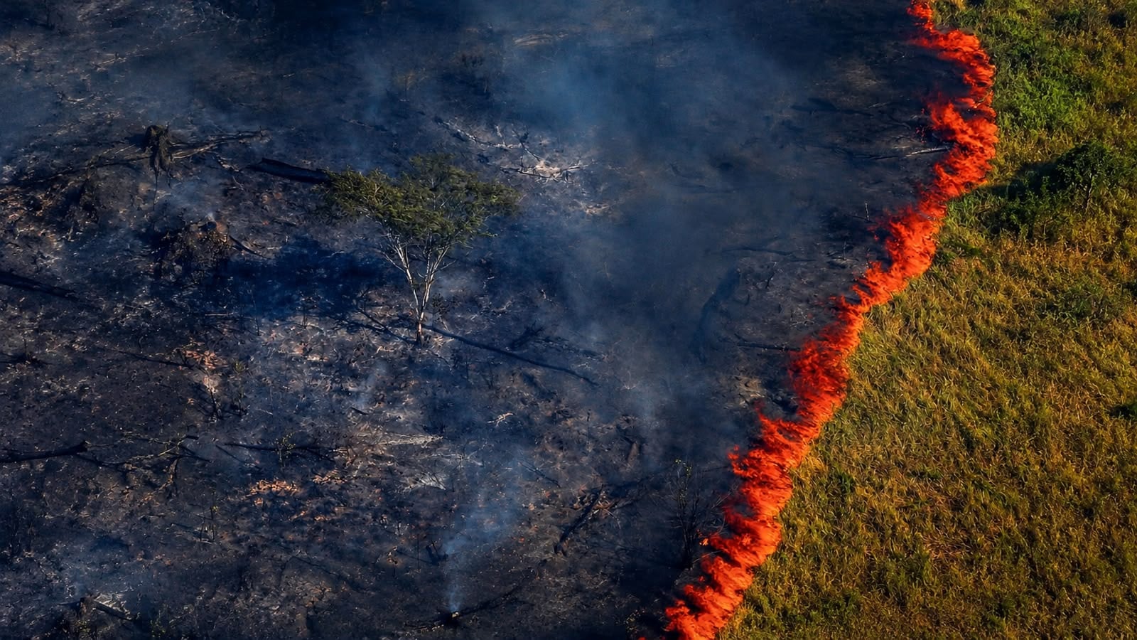 Queimadas no Pará aumentam em outubro e El Niño pode agravar a seca na Amazônia