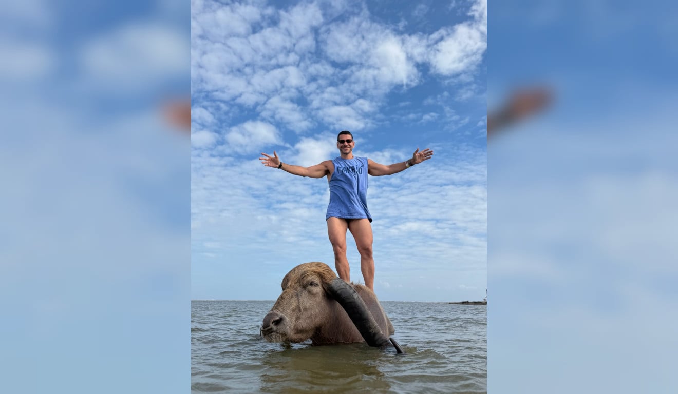 Alexandre Barillari posa com búfalo no Marajó e abre álbum de fotos; confira